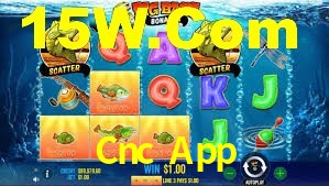 Crash Games Statistics Cnc App